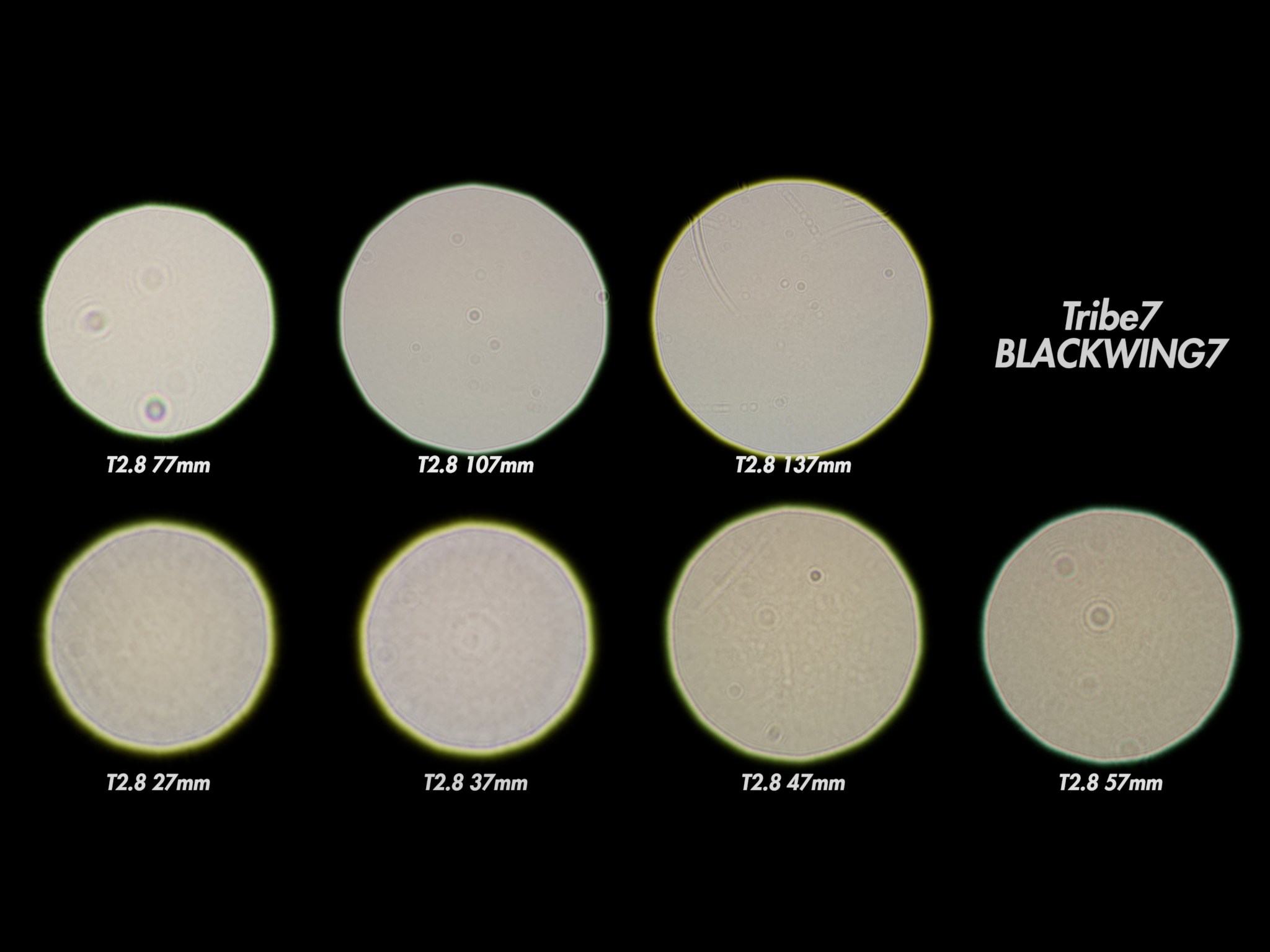 Tribe7 Blackwing 7 Lens Maps